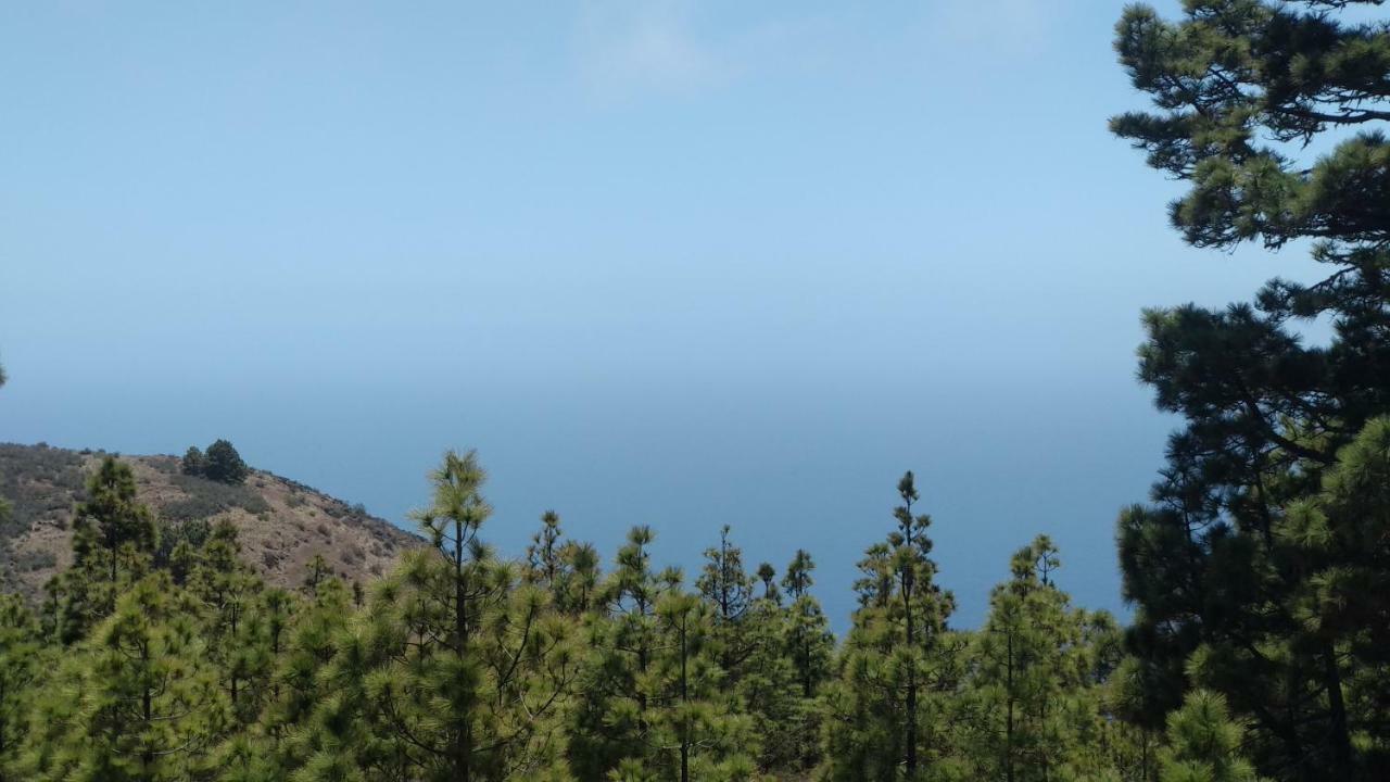 Casa Los Almendros Jacuzzi Garden Πούντα Γκόρντα Εξωτερικό φωτογραφία